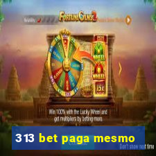 313 bet paga mesmo